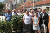 51280714683_3a79d0253b_o