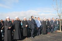 IMG_3690_1024x683