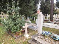 viber_slika_2026-03-21_19-01-43-532