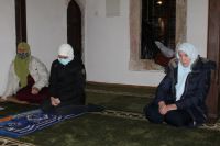 IMG_0534_1024x683