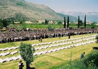 viber_image_2025-11-01_16-05-43-385