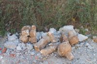 IMG_7932_1024x683